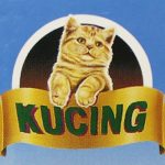 12.Kucing